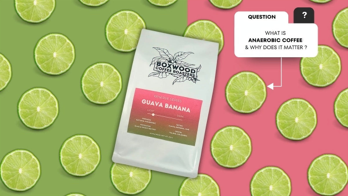 What is Anaerobic Coffee and Why Does It Matter?