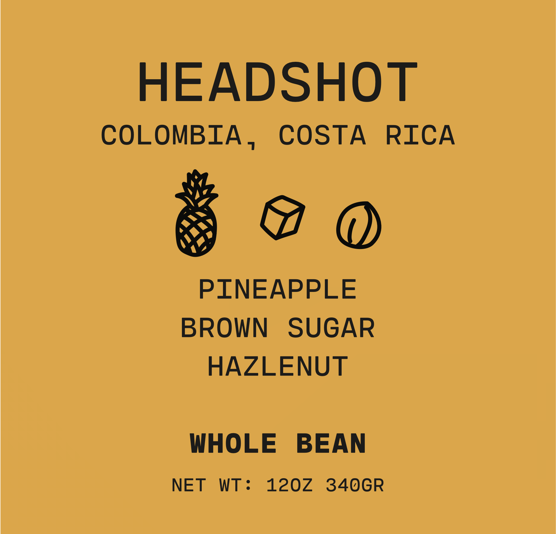 Headshot