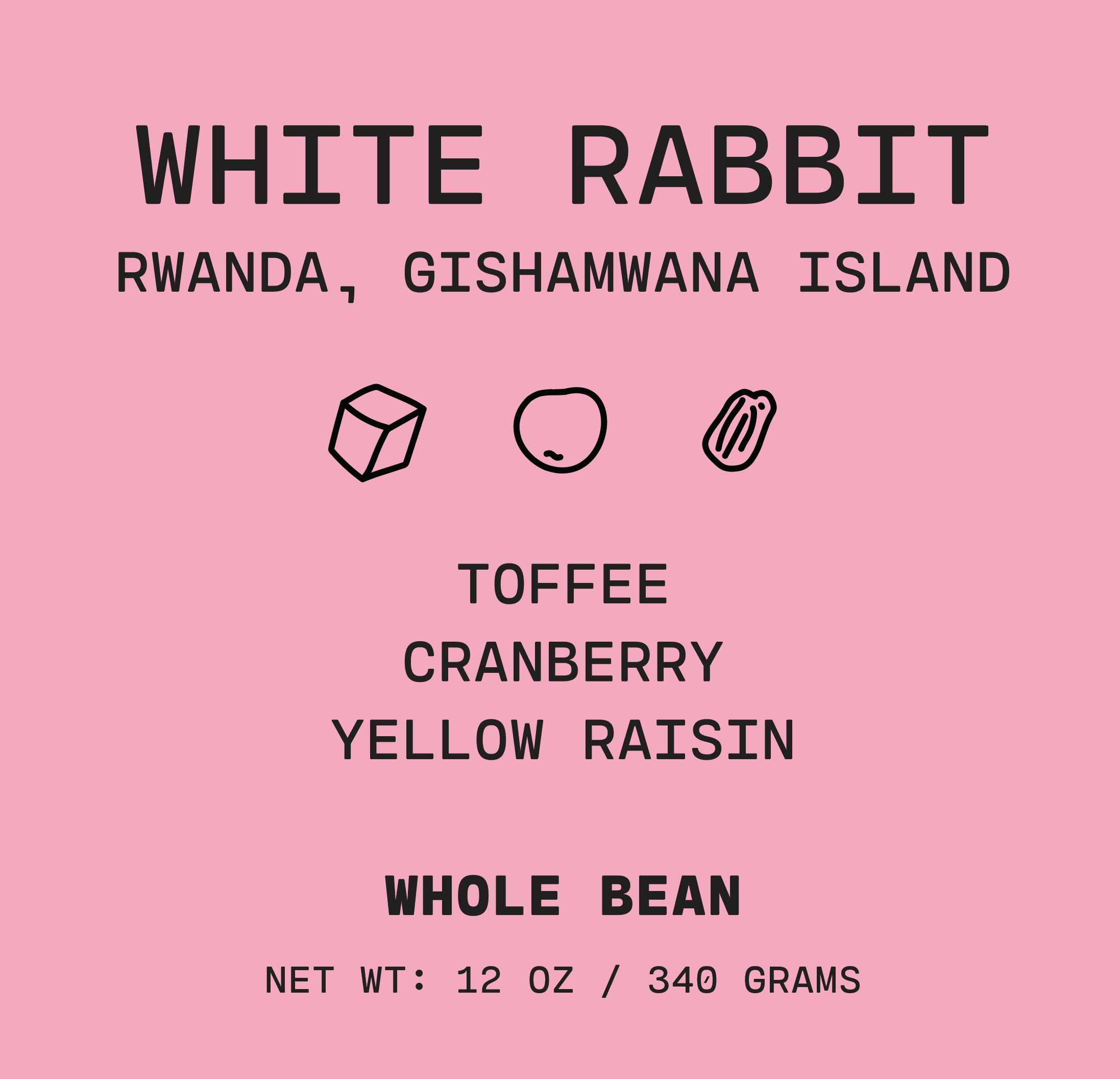 White Rabbit