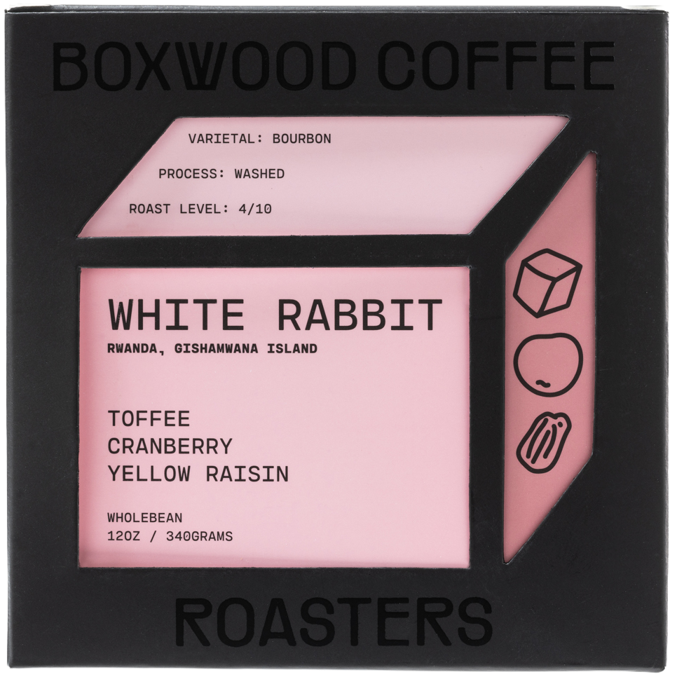 White Rabbit