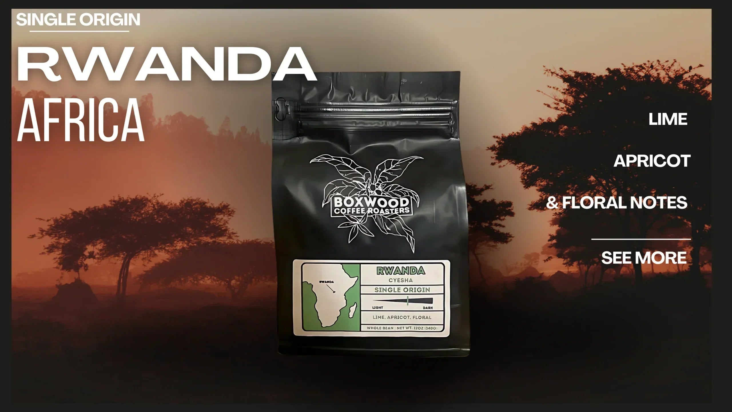 Rwanda Cyesha: A Single Origin Delight from Boxwood Coffee Roasters