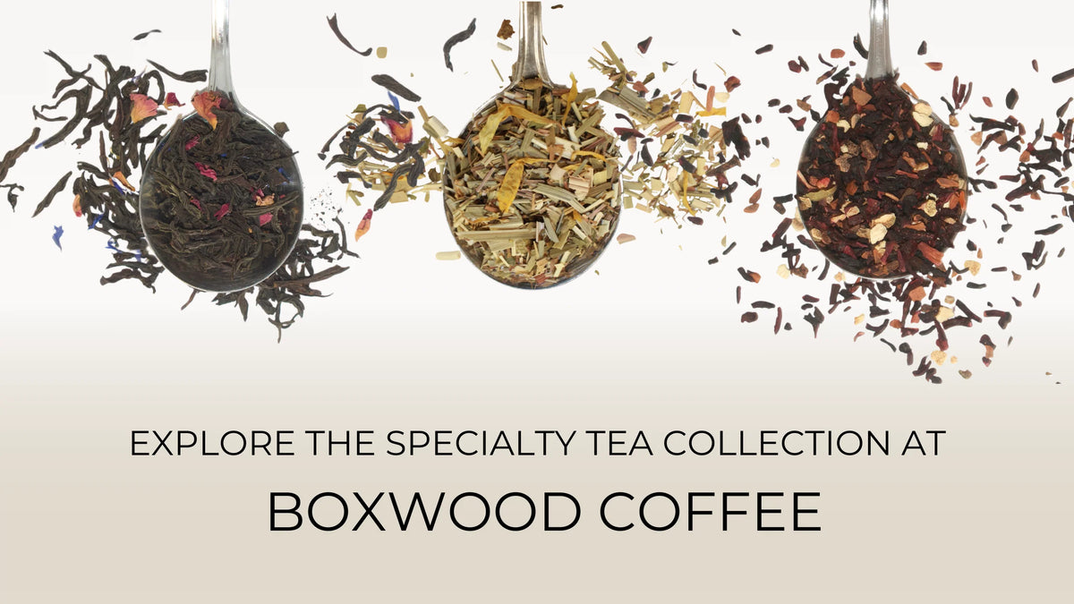 Explore the Specialty Tea Collection at Boxwood Coffee