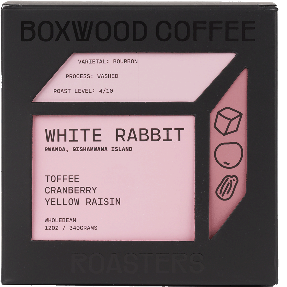 White Rabbit