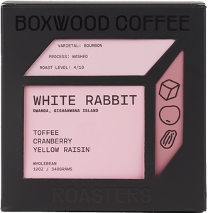 White Rabbit
