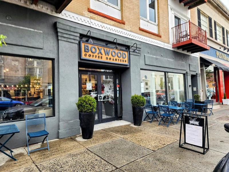 Boxwood Westfield