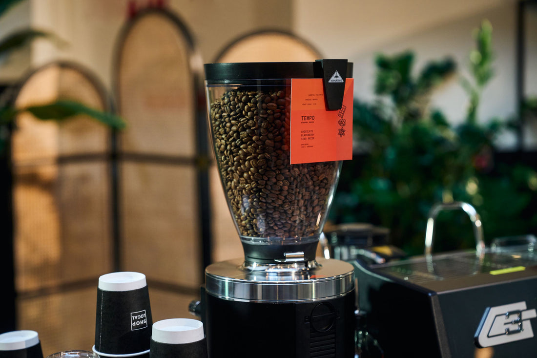 Boxwood Coffee espresso grinder and retail bar