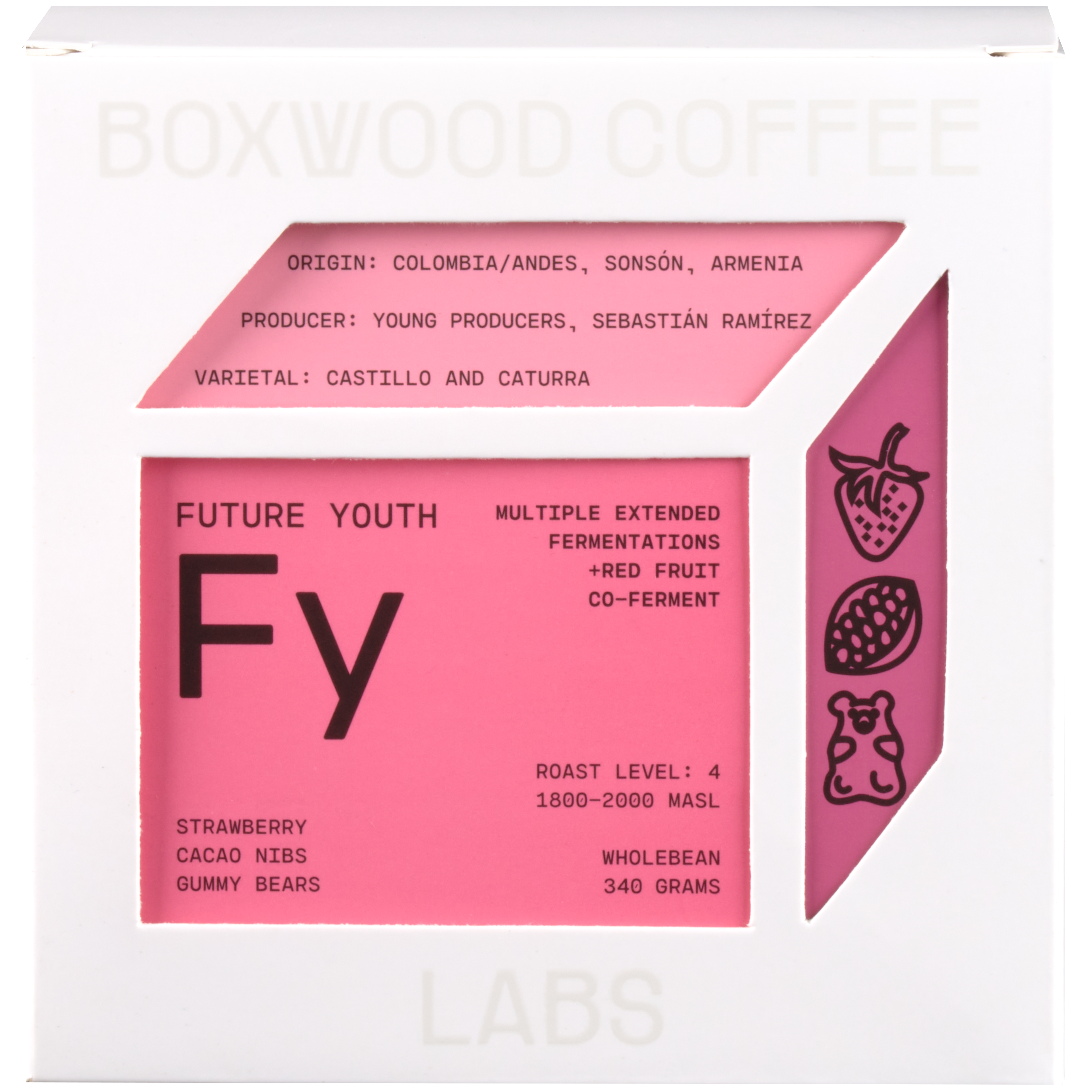 Future Youth