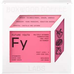 Future Youth
