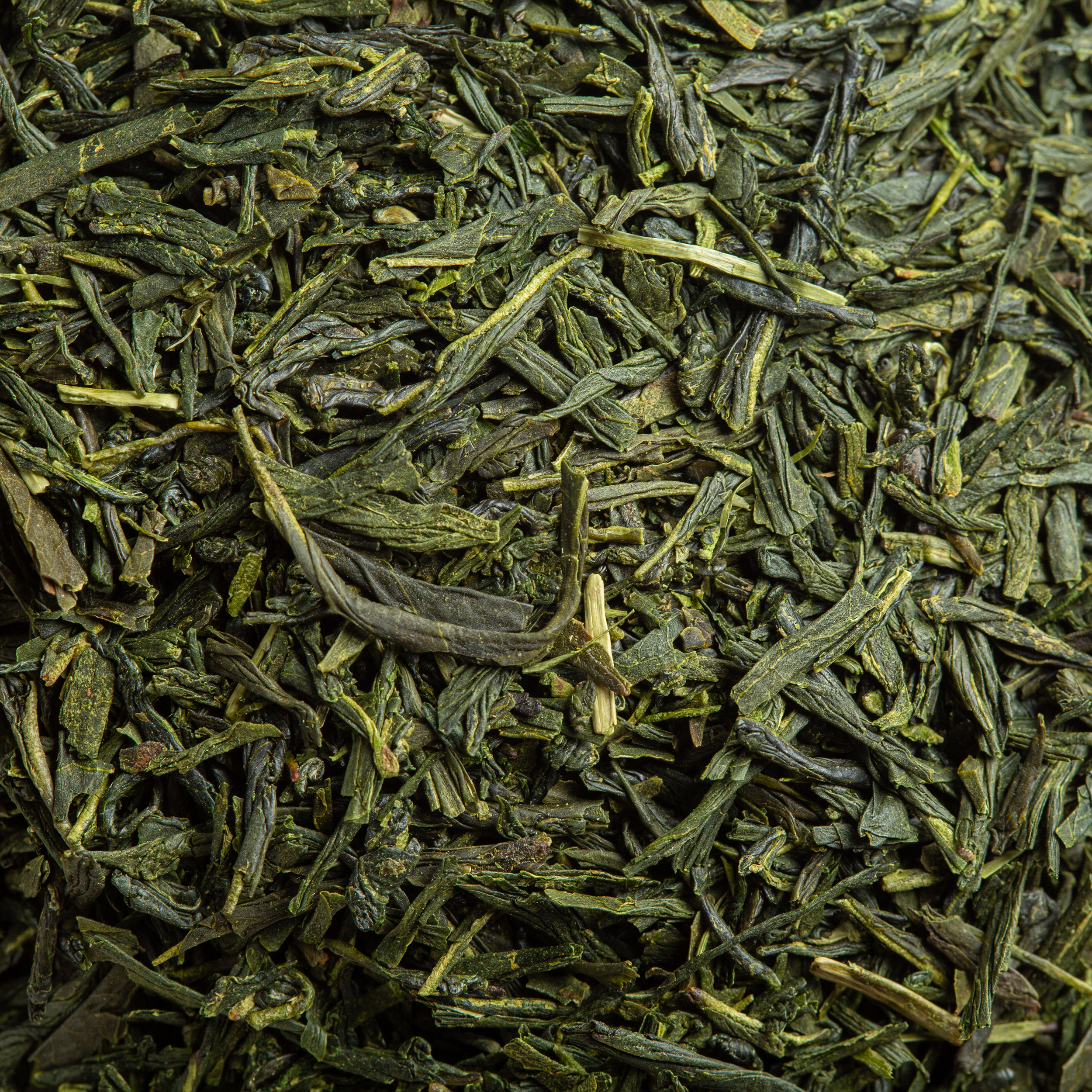 Sencha